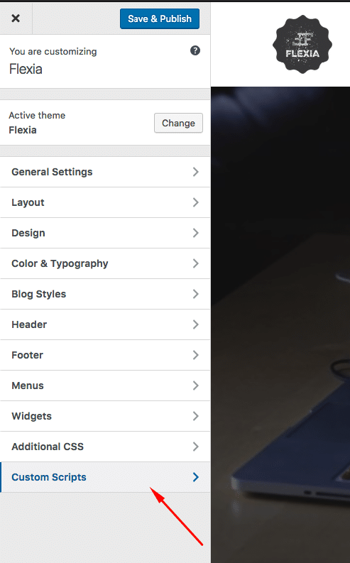 How To Add Custom Scripts To WordPress Header And Footer Through Customizer 17