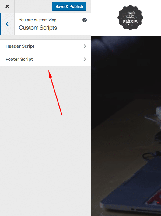 How To Add Custom Scripts To WordPress Header And Footer Through Customizer 11