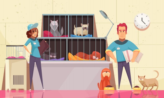 How To Start An Animal Welfare Website: Step-By-Step Guide & FREE Template 1