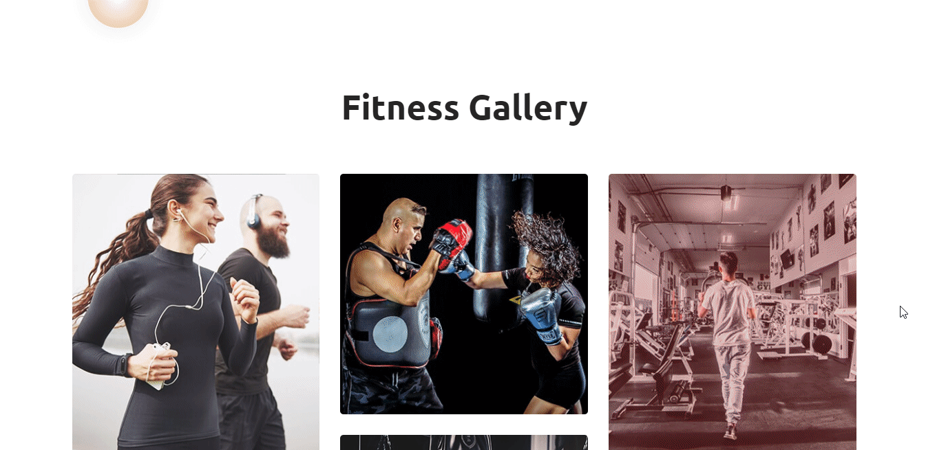 Fitness website Elementor