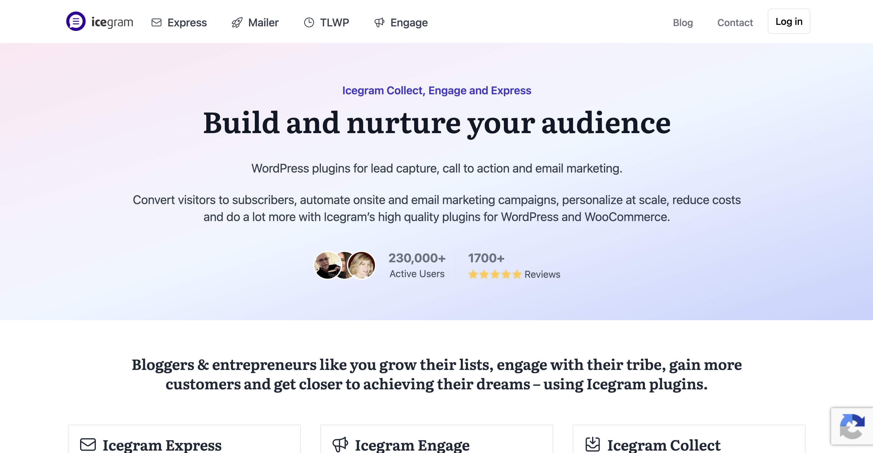 Top 5+ Best WordPress Exit Intent Popup Plugins To Boost Conversion - WPDeveloper Icegram