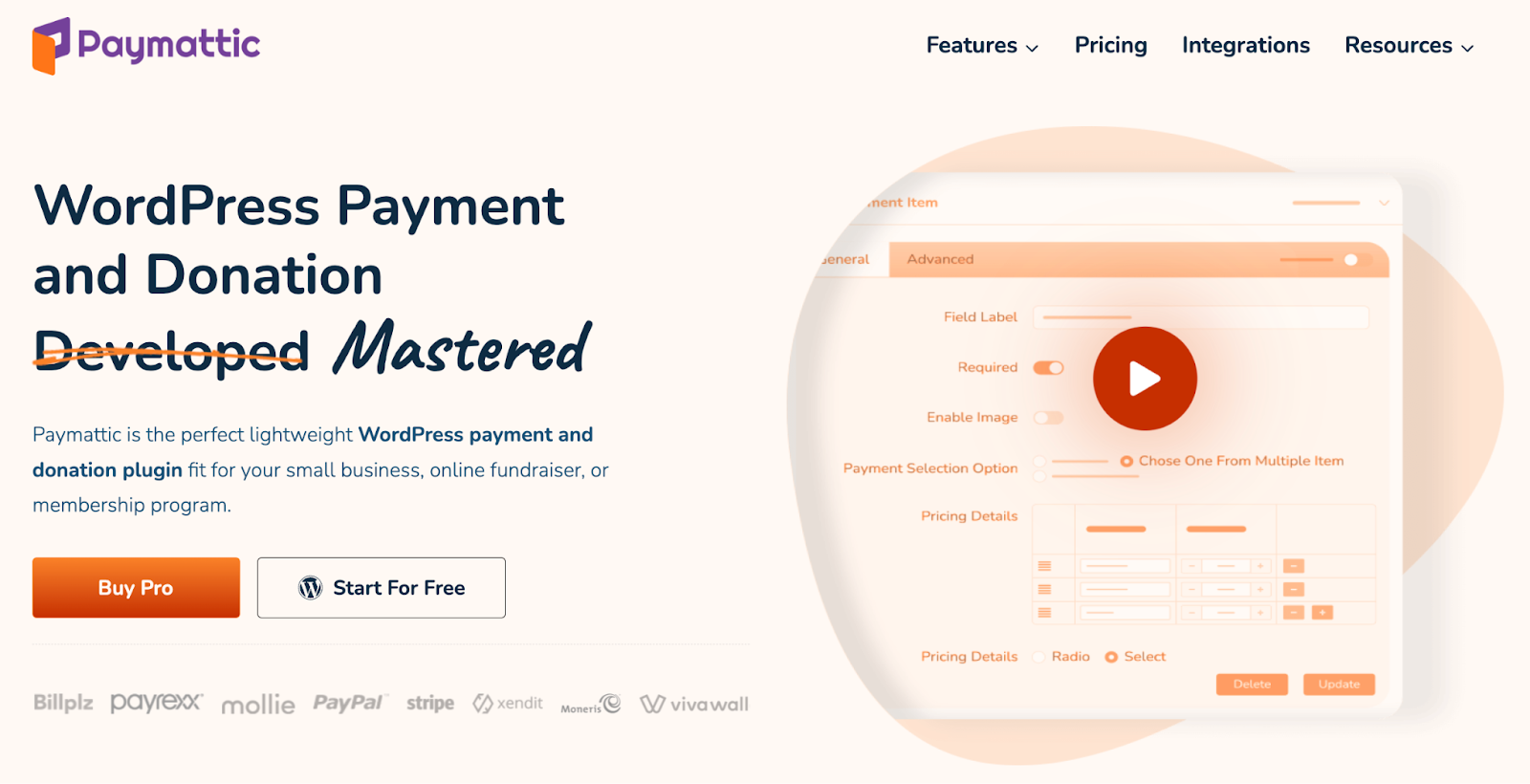 Top 5 Best Payment Plugins for WordPress - Compared [2024] 1