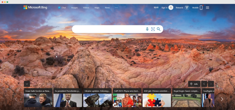 BING WEB CRAWLER visual data 7