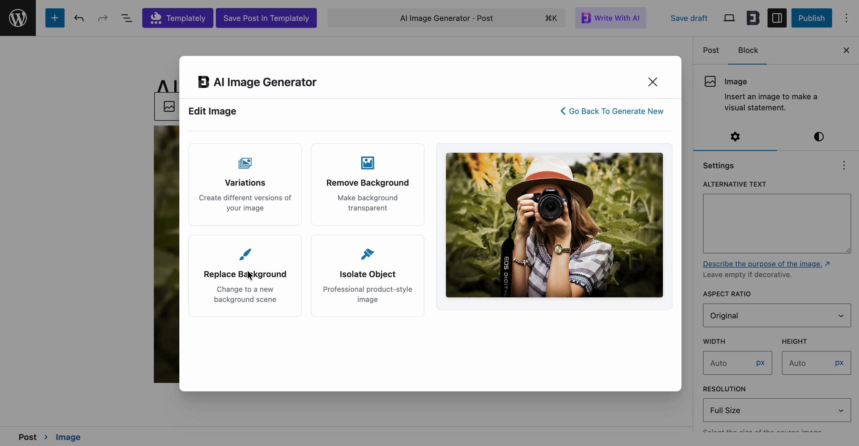 Step-by-Step Guide to Create And Edit Image with AI in Gutenberg Editor - WPDeveloper Replace background with AI